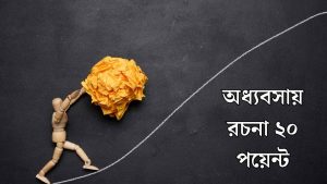 অধ্যবসায় রচনা ২০ পয়েন্ট