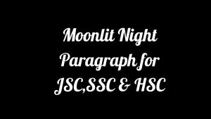 Moonlit Night Paragraph for JSC,SSC & HSC