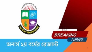 অনার্স ২য় বর্ষের রেজাল্ট