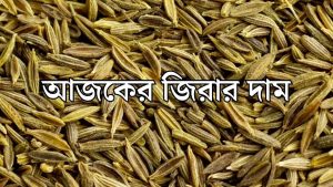 আজকের জিরার দাম