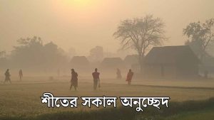 শীতের সকাল অনুচ্ছেদ